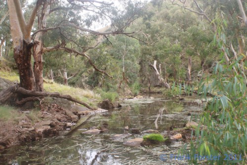 gorge-pools-538