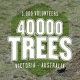 11391544_1667743336788969_5518370052361559707_n